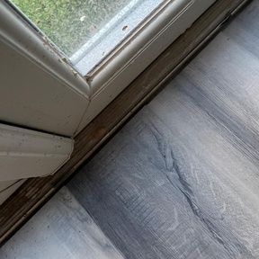 Deep Cleaning Roslin